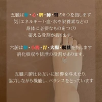 画像244