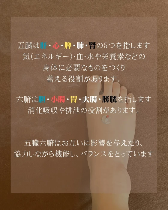 画像244