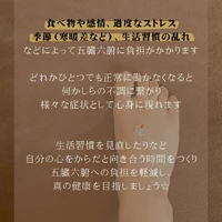 画像245