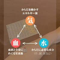画像248