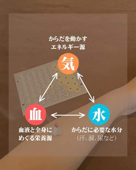 画像248