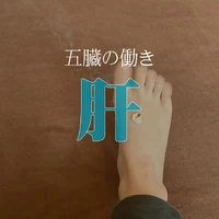 画像251