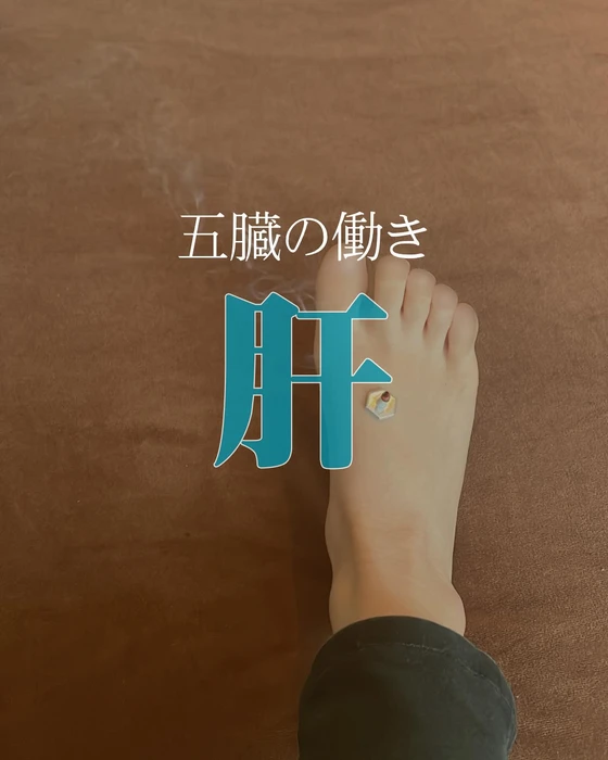 画像251