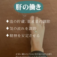 画像252