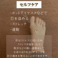画像254