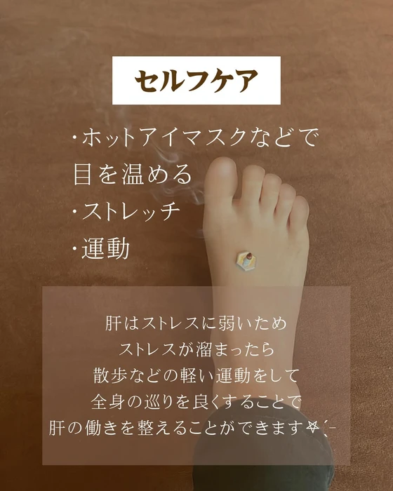 画像254