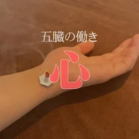 画像256