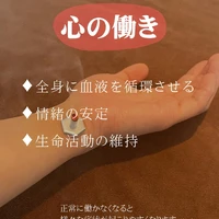 画像257