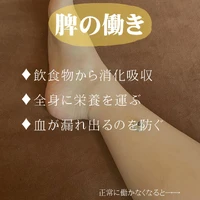 画像262