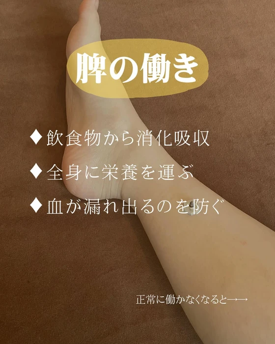 画像262