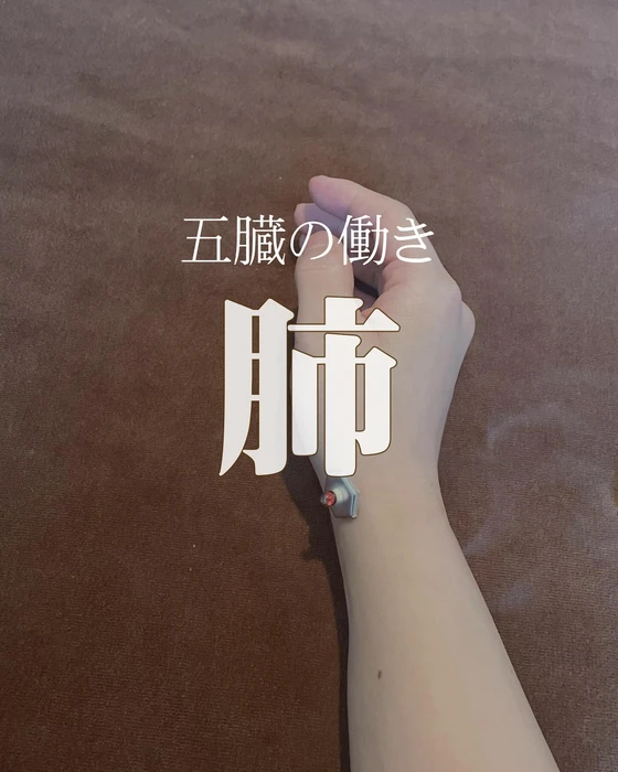 画像266