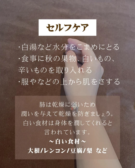 画像269