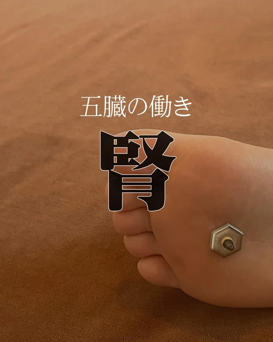 画像271