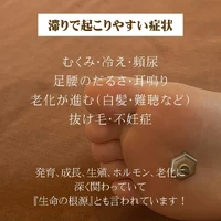 画像273